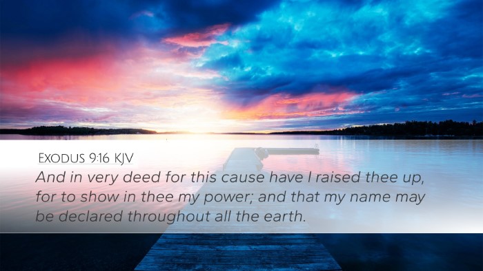Exodus 9:16 Bible Commentary