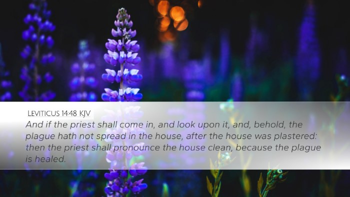 Leviticus 14:48 Bible Commentary