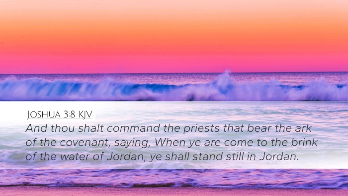 Joshua 3:8 Bible Commentary