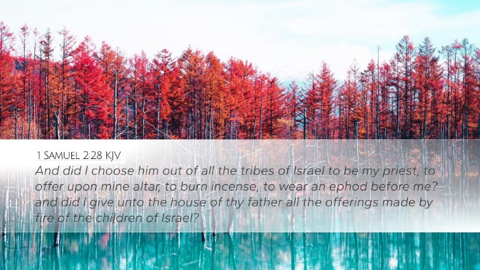 1 Samuel 2:28 Bible Commentary