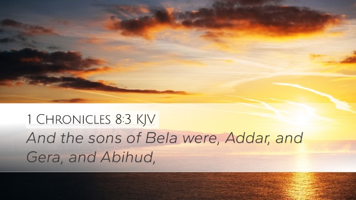 1 Chronicles 8:3 Bible Commentary