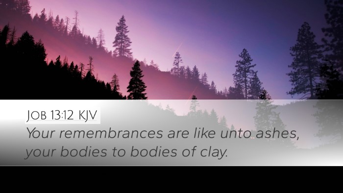 Job 13:12 Bible Commentary