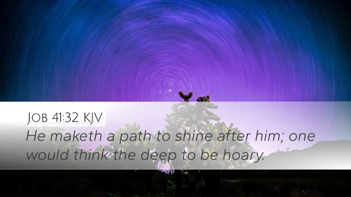 Job 41:32 Bible Commentary