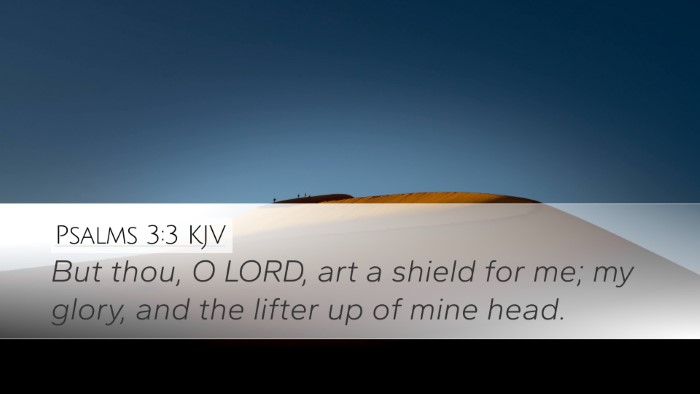 Psalms 3:3 Bible Commentary