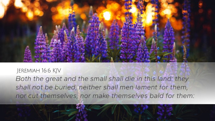 Jeremiah 16:6 Bible Commentary