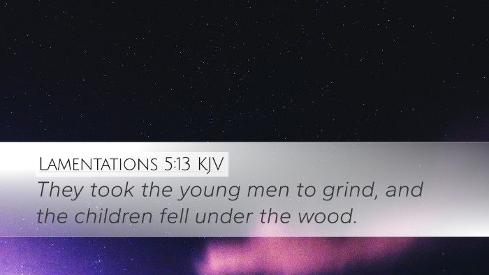 Lamentations 5:13 Bible Commentary