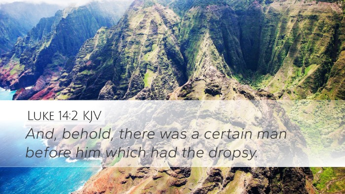 Luke 14:2 Bible Commentary